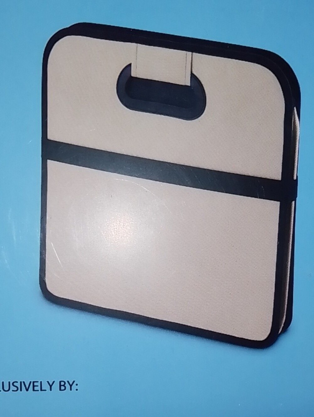 Folding Trunk Organizer with Handles